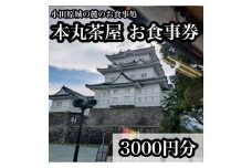 小田原城の麓のご飯屋さん　本丸茶屋御食事券 3000円分【 お食事券 神奈川県 小田原市 】