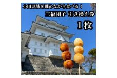 小田原城を眺めながら食べるお団子 三福団子引換券 1本分 くるみ味噌 みたらし団子【 引換券 神奈川県 小田原市 】