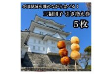 小田原城を眺めながら食べるお団子 三福団子引換券 5本分 くるみ味噌 みたらし団子【 引換券 神奈川県 小田原市 】