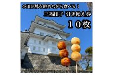 小田原城を眺めながら食べるお団子 三福団子引換券 10本分 くるみ味噌 みたらし団子【 引換券 神奈川県 小田原市 】