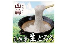 自然薯の味をお楽しみください。自然薯生とろろ100ｇ×10ｐセット【とろろ 極上とろろ 山芋 お家用 家庭用 国産 セット商品 自然薯 神奈川県 小田原市 】