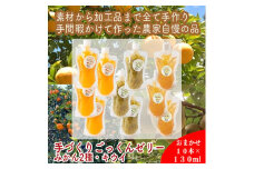 スイスで加工品を学んだ農家が作った『手づくりごっくんゼリー』 おまかせ10本セット 130ml みかん 甘夏 キウイ【 家庭用 自宅用 贈答品 贈答用 ギフト お取り寄せ お中元 お歳暮 贈り物 お祝い 神奈川県 小田原市 】