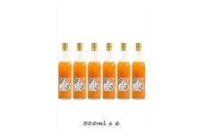 【定期便 3回】小田原産江之浦みかん１００％ストレートジュース５００ml６本