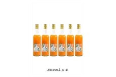 【定期便 （2カ月ごと全3回）】小田原産江之浦みかん１００％ストレートジュース５００ml６本