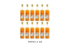 【定期便（2カ月ごと全6回）】小田原産江之浦みかん１００％ストレートジュース５００ml１２本