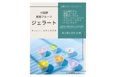 小田原産江之浦ジェラート６種（みかん、湘南ゴールド、ブルーベリーミルク、いちごミルク、キウイヨーグルト、甘夏ヨーグルト）120mlカップ各２個合計１２個