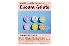 【定期便 3回】小田原産江之浦ジェラート６種（みかん、湘南ゴールド、ブルーベリーミルク、いちごミルク、キウイヨーグルト、甘夏ヨーグルト）120mlカップ各１個合計６個