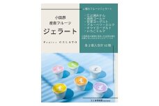 【定期便（2カ月ごと全6回）】小田原産江之浦ジェラート６種（みかん、湘南ゴールド、ブルーベリーミルク、いちごミルク、キウイヨーグルト、甘夏ヨーグルト）120mlカップ各２個合計１２個