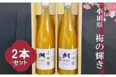 小田原 梅の輝き720ML瓶（梅ドリンク）2本セット【 飲み物 ドリンク 神奈川県 小田原市 】