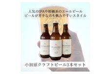 おまかせクラフトビール3本セット　クラフトビール・地ビール【 ビール お酒 神奈川県 小田原市 】