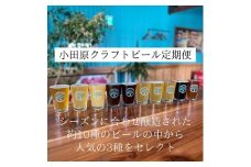 季節限定　小田原クラフトビール3種　【定期便：3カ月に1回 計4回お届け】   クラフトビール・地ビール【 ビール お酒 神奈川県 小田原市 】