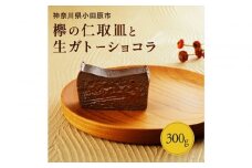 欅の仁取皿と生ガトーショコラ。小田原の伝統を受け継いだお皿と小田原の極上スイーツ(300g)のコラボ商品【チョコレート 特濃厚 濃密な味わい 極上の口溶け 極上のチョコレート 一流の料理人 カカオの風味やコク カカオ 至極の逸品 神奈川県 小田原市 】