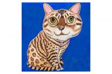 アーティストが描く愛しいペットのポートレート ドローイング