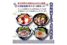 小田原海鮮丼の具（4種セット）