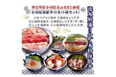 小田原地魚＆本まぐろ海鮮丼の具（6種セット）
