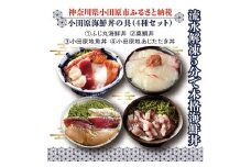 【曽我の梅干し、小田原地あじ、小田原港直送地魚丼】小田原海鮮丼の具（4種セット）【ふじ丸海鮮丼 小田原地魚丼 小田原地あじたたき丼 国産活〆真鯛入り酒仕込み 流水解凍５分で海鮮丼 海鮮丼セット 神奈川県 小田原市 】
