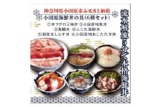 【高級食材本マグロ、曽我の梅干し、小田原地あじ、小田原港直送地魚丼、大磯港直送、湘南生しらす】小田原海鮮丼の具（6種セット）【本まぐろ丼 小田原地魚丼 小田原地あじたたき丼 国産活〆真鯛入り酒仕込み 神奈川県 小田原市 】