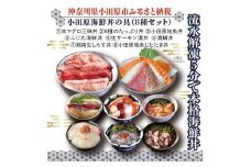 【高級食材本マグロ、曽我の梅干し、小田原地あじ、小田原港直送地魚丼、大磯港直送、湘南生しらす】小田原海鮮丼の具（8種セット）【本まぐろ丼 小田原地魚丼 小田原地あじたたき丼 国産活〆真鯛入り酒仕込み 神奈川県 小田原市 】