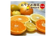 【先行予約】3月おすすめ柑橘詰め合わせ５kg箱＜出荷開始：2026年3月5日~3月25日＞【 フルーツ 神奈川県 小田原市 】