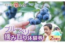 ブルーベリー農園 摘み取り券 収穫 太陽 養液栽培 美味 育つ ジャム バター 地場産  新鮮 卵 スプレッド 濃厚 風味 温故知新 開工房 農園 果実 摘み取り 完熟 農園 あっさり 食パン 採れたて朝食 送料無料 神奈川県 茅ヶ崎市