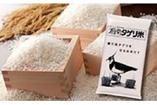 湘南タゲリ米５ｋｇ お米 