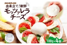 出来立て新鮮 モッツァレラチーズ100g  ×  4個セット 茅ケ崎産 加工食品 乳製品 チーズ 出来立て 神奈川県産 モッツァレラ 手作り Osteria e Bottega S 神奈川県 湘南 茅ケ崎 フレッシュチーズ  おつまみ ピザ