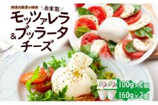 自家製 チーズ 詰め合わせ モッツァレラチーズ 100g  ブッラータチーズ180g 各2個 出来立て 神奈川県産 幻のチーズ  手作り 湘南 茅ケ崎 フレッシュチーズ  おつまみ ピザ
