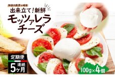 5ヶ月定期便 出来立て新鮮 モッツァレラチーズ100g × 4個セット 茅ヶ崎産 チーズ モッツァレラ 手作り Osteria e Bottega S 神奈川県 湘南 茅ヶ崎市 フレッシュチーズ