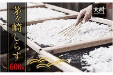 茅ヶ崎 しらす 生 新鮮 600g 網元 船 茹で上げ ゆでる 天日干し 白 透明 湘南 相模湾 朝獲れ  食卓  しらす丼 ポン酢 卵 海 漁 湯切り 濃厚 ふっくら 冷凍 神奈川県 茅ケ崎市
