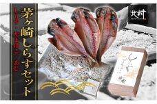 茅ヶ崎 しらす セット 生 新鮮 しらす 300g しらす かまぼこ 1本 あじ 3枚 とれたて 網元 船 茹で上げ ゆでる 天日干し 白 透明 湘南 相模湾 朝獲れ  食卓 干物しらす丼 ポン酢 卵 海 漁 湯切り おつまみ お酒 冷凍 神奈川県 茅ケ崎市