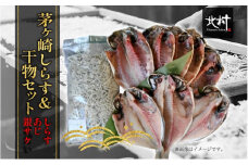 茅ヶ崎 しらす 干物 セット しらす  300g あじ 5枚 銀サケ 4枚 とれたて 網元 船 茹で上げ ゆでる 天日干し 白 透明 湘南 相模湾 朝獲れ  食卓 干物しらす丼 ポン酢 卵 海 漁 湯切り おつまみ お酒 冷凍 神奈川県 茅ケ崎市