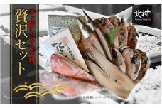 茅ヶ崎 しらす 干物 贅沢 セット しらす 600g たたみしらす 8枚入 1箱 かます 2枚 あじ 3枚 銀サケ 4枚 太刀魚 1枚 赤魚 粕漬 2枚 網元 新鮮 船 海 海鮮 漁 冷凍 北村水産 焼く ご飯 酒 つまみ 神奈川県 茅ケ崎市