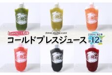 冷凍 コールドプレスジュース 1DAYクレンズ 12本セット ジュースクレンズ ファスティング ヘルスケア リフレッシュ スムージー 健康 腸内環境 神奈川県 茅ヶ崎市 株式会社KSS