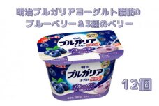 明治ブルガリアヨーグルト脂肪0 ブルーベリー＆3種のベリー（180g×12個） さっぱり 食べ切りサイズ 大容量 健康的 さわやか 深み あじわい 満足感 