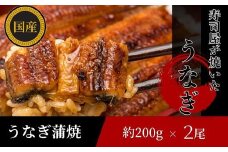 【三河産 鰻】うなぎ蒲焼セット2尾（活魚1本200g×2） 国産活うなぎ 脂 安心安全 特別な日 ふっくらとした身 