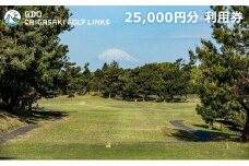 ゴルフ場 神奈川 GDO茅ヶ崎ゴルフリンクス 25,000円分　利用券 ゴルフ ゴルフ場利用権 ラウンド 運動 健康 スポーツ 自然 コース 