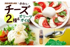 【ふるさと納税】フレッシュチーズ 2種 オリーブオイル セット モッツァレラ 100g 2個 ブッラータ 160g 1個 オリーブオイル 100ml チーズ おつまみ ピザ カプレーゼ 送料無料 神奈川県 茅ヶ崎市