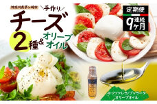 【ふるさと納税】9ヶ月定期便 フレッシュチーズ 2種 オリーブオイル セット モッツァレラ 100g 2個 ブッラータ 160g 1個 オリーブオイル 100ml チーズ おつまみ 送料無料 神奈川県 茅ヶ崎市
