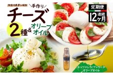 【ふるさと納税】12ヶ月定期便 フレッシュチーズ 2種 オリーブオイル セット モッツァレラ 100g 2個 ブッラータ 160g 1個 オリーブオイル 100ml チーズ おつまみ 送料無料 神奈川県 茅ヶ崎市