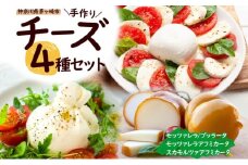 チーズ 4種 詰め合わせ 各1個 湘南 モッツァレラ チーズ  ブラッターチーズ スカモルツァアフミカータ 神奈川県 茅ケ崎市 Osteria e Bottega S 加工食品 乳製品 牛乳 手作業 ミルク 銀賞 幻のチーズ スモーク 塩漬け 美味しい  おつまみ ピザ 