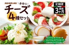  3ヶ月定期便 チーズ 4種 詰め合わせ 各1個 Osteria e Bottega S モッツァレラ ブラッターチーズ スカモルツァアフミカータ 神奈川県 茅ケ崎市 加工食品 乳製品 牛乳 手作業 ミルク 銀賞 幻のチーズ スモーク 塩漬け 美味しい  おつまみ ピザ 
