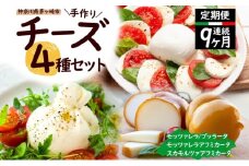 【 9ヶ月定期便】チーズ 4種 詰め合わせ 各1個 Osteria e Bottega S モッツァレラチーズ ブラッターチーズ スカモルツァアフミカータ 神奈川県 茅ケ崎市 乳製品 牛乳 手作業 ミルク 銀賞 幻のチーズ スモーク 塩漬け 美味しい おつまみ ピザ