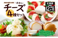 12ヶ月定期便 チーズ 4種 詰め合わせ 各1個 Osteria e Bottega S モッツァレラ ブラッターチーズ スカモルツァアフミカータ 神奈川県 茅ケ崎市 加工食品 乳製品 牛乳 手作業 ミルク 銀賞 幻のチーズ スモーク 塩漬け 美味しい  おつまみ ピザ 