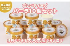 湘南茅ヶ崎の人気店 プレンティーズのアイスクリーム（バニラ10個）【のし有】