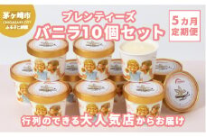 【5か月定期便】湘南茅ヶ崎の人気店 プレンティーズのアイスクリーム（バニラ10個） お菓子 スイーツ ひんやり デザート 夏 おしゃれ かわいい バニラアイス 