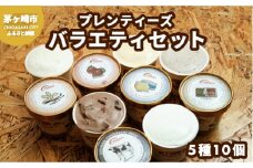 湘南茅ヶ崎の人気店 プレンティーズのアイスクリーム（バラエティセット５種10個）【のし無】