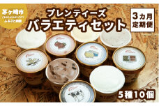 【3か月定期便】湘南茅ヶ崎の人気店 プレンティーズのアイスクリーム（バラエティセット10個） お菓子 スイーツ ひんやり デザート 夏 おしゃれ かわいい 食べ比べ 