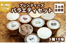 【5か月定期便】湘南茅ヶ崎の人気店 プレンティーズのアイスクリーム（バラエティセット10個） お菓子 スイーツ ひんやり デザート 夏 おしゃれ かわいい 食べ比べ 