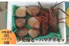 伊勢海老 ハマグリ 茅ヶ崎の幸 豪華 セット 新鮮 朝どれ 烏帽子産 漁師からそのままお届け　 魚貝類 