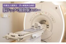 脳ドック+頸動脈エコー チケット 体験チケット 検査のみ 脳血管疾患 検査 健康チェック 